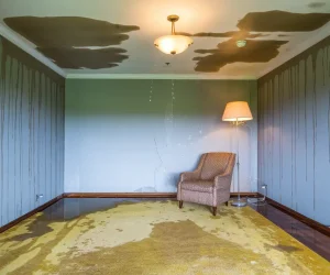 What Does Water Damage Look Like? 10 Signs of Water Damage
