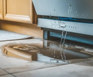 What to do With a Dishwasher Leaking from Underneath